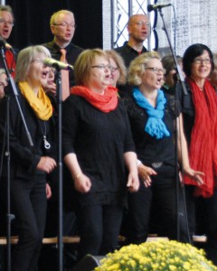 Projektchor beim Auftritt 2014 (Foto: Christian Werner)